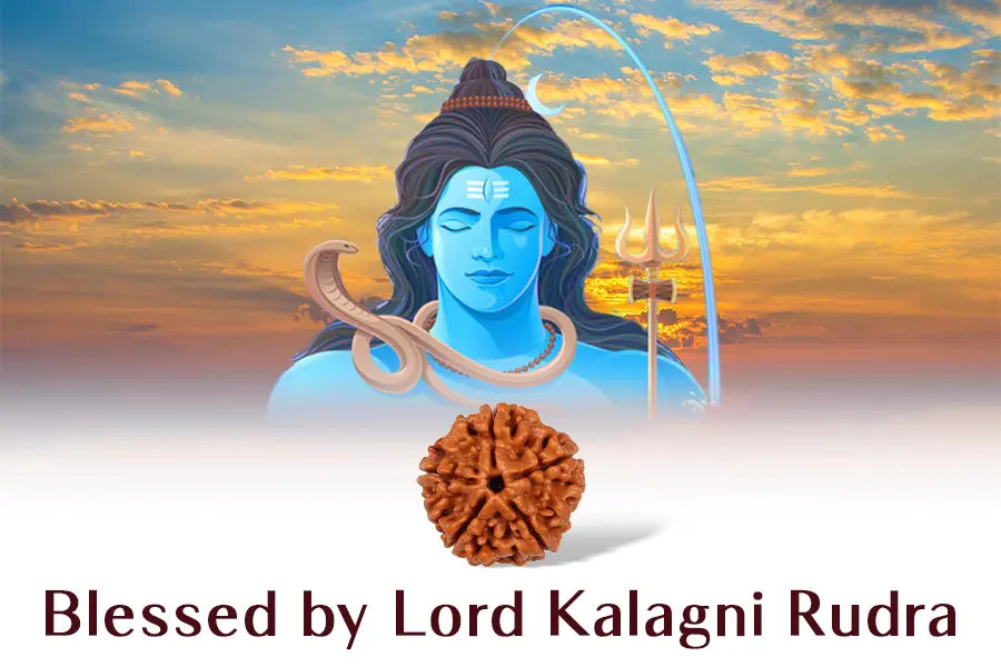 5 Mukhi Rudraksha